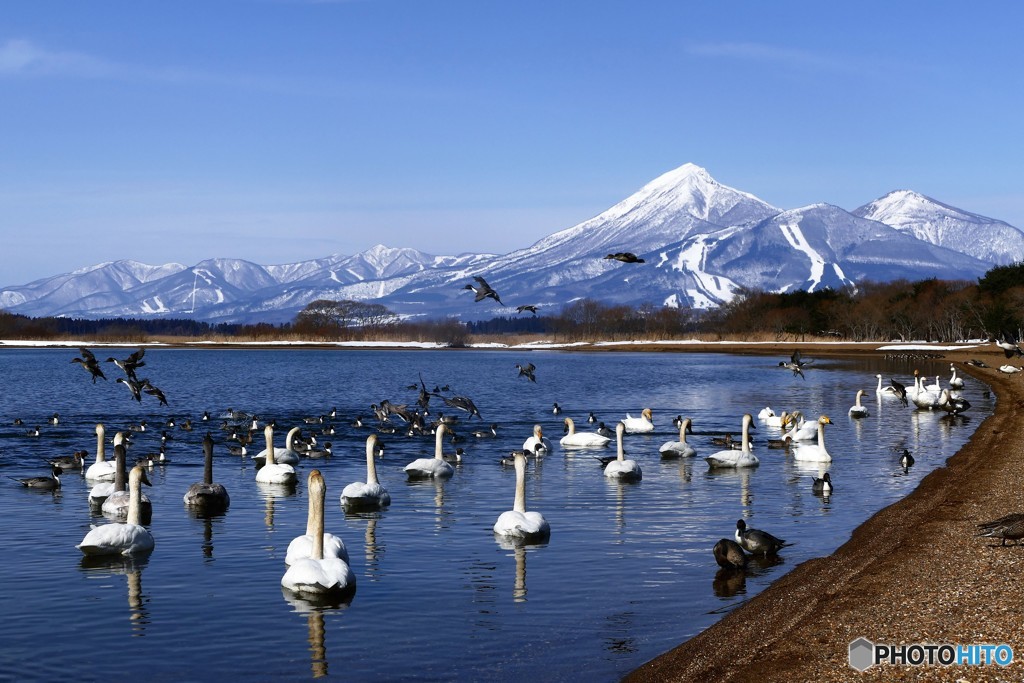 穏やかなる日４