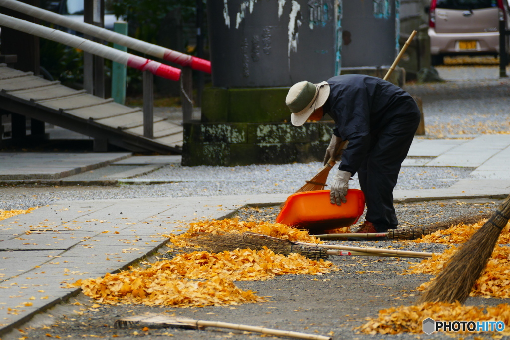 掃き集める秋