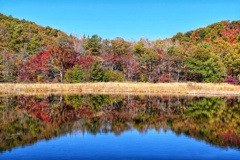 観音沼森林公園 観音沼森林公園