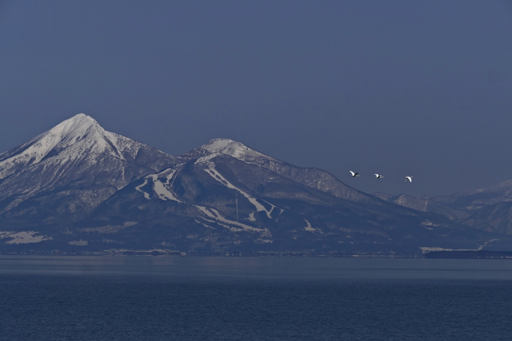 磐梯山と猪苗代湖と白鳥