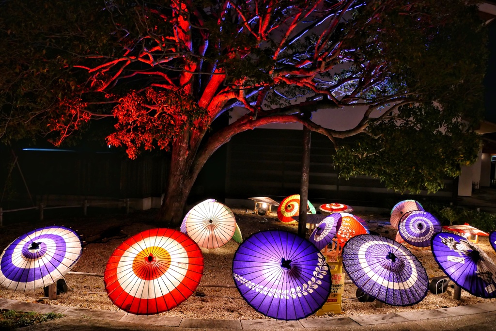 和傘アート
