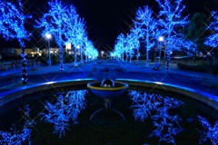 ブルーイルミネーション