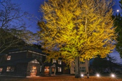 喰丸小学校