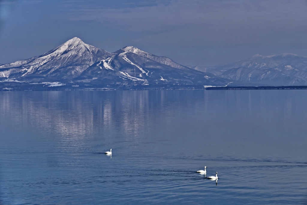 猪苗代湖と磐梯山と白鳥