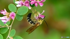 美味しいかい？