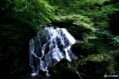 そうめんの滝 三点