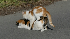 1190675安心してください！マウントですから(^_^;)