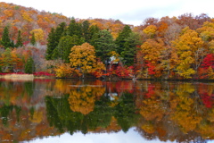 観音沼森林公園１