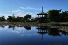 大池公園１
