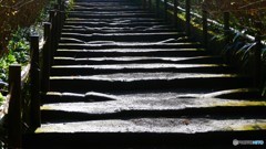 ＠鎌倉　明月院