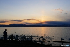 猪苗代湖夕景１