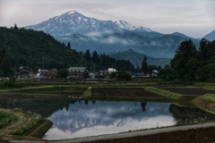 田んぼリフレクション②