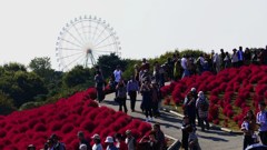 P1150952　＠ひたちなか海浜公園