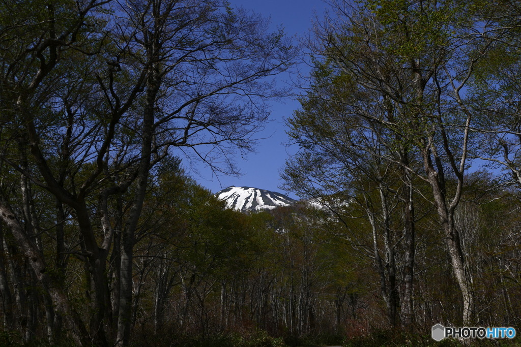 燧ヶ岳