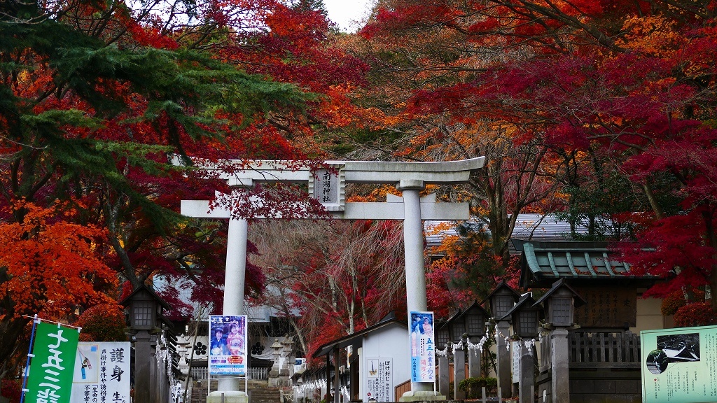 P1170170　@白河市南湖公園
