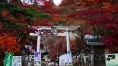 P1170170　@白河市南湖公園