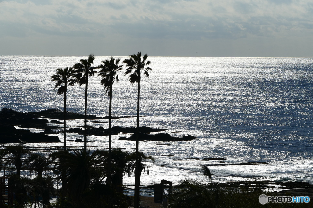 南国みたいね房総さん