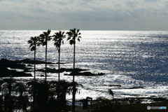 南国みたいね房総さん