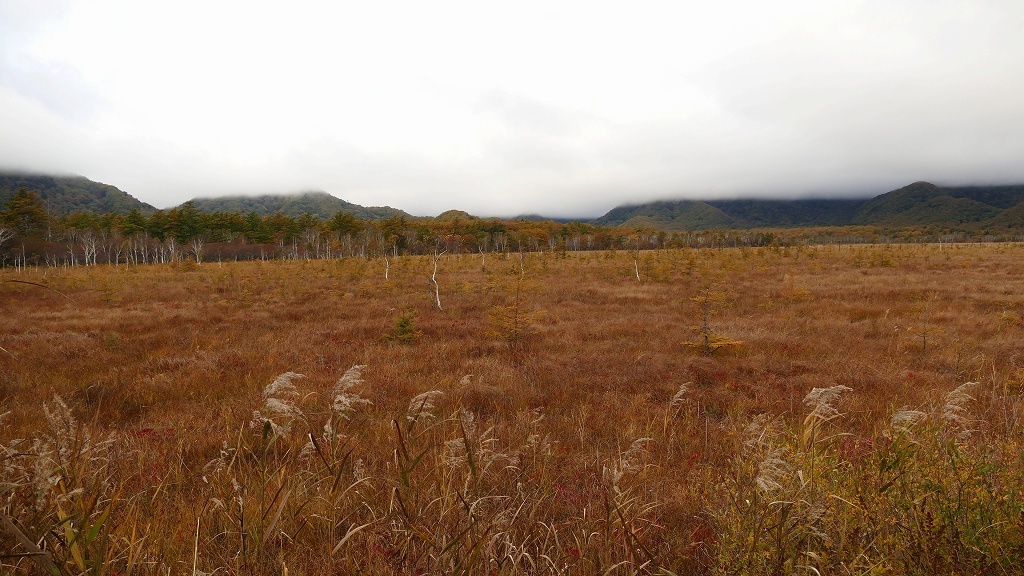 P1150023　奥日光