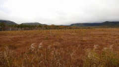 P1150023　奥日光