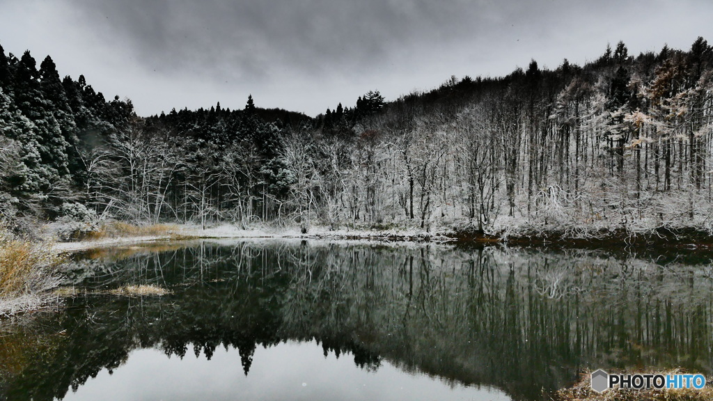 ついに冬が来た