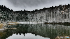 ついに冬が来た