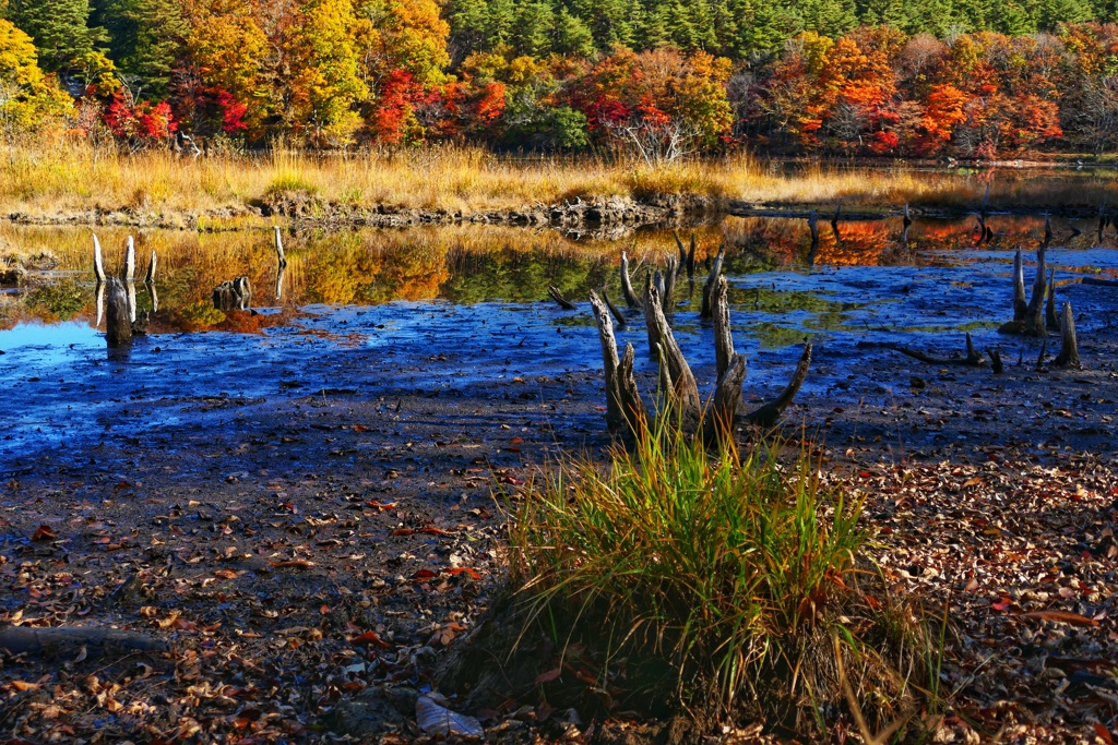 観音沼森林公園８
