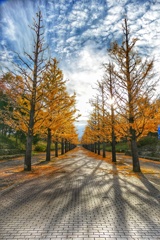 あづま総合運動公園