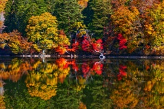 観音沼森林公園４