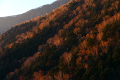 朝日を浴びて３