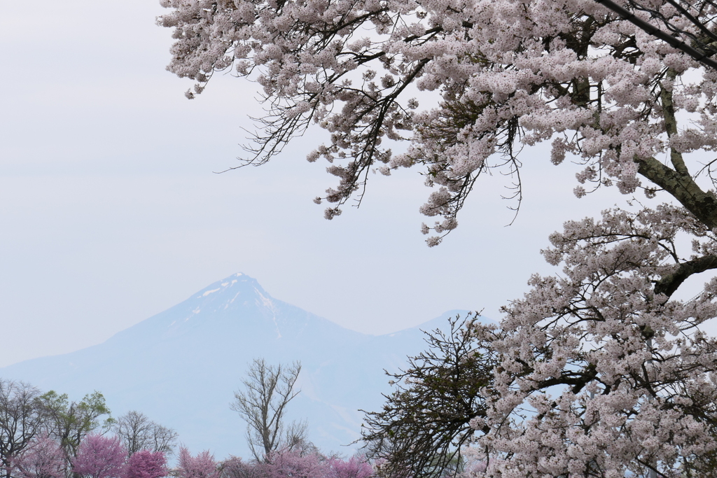 霞のなか　横