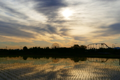 田んぼリフレクション ２