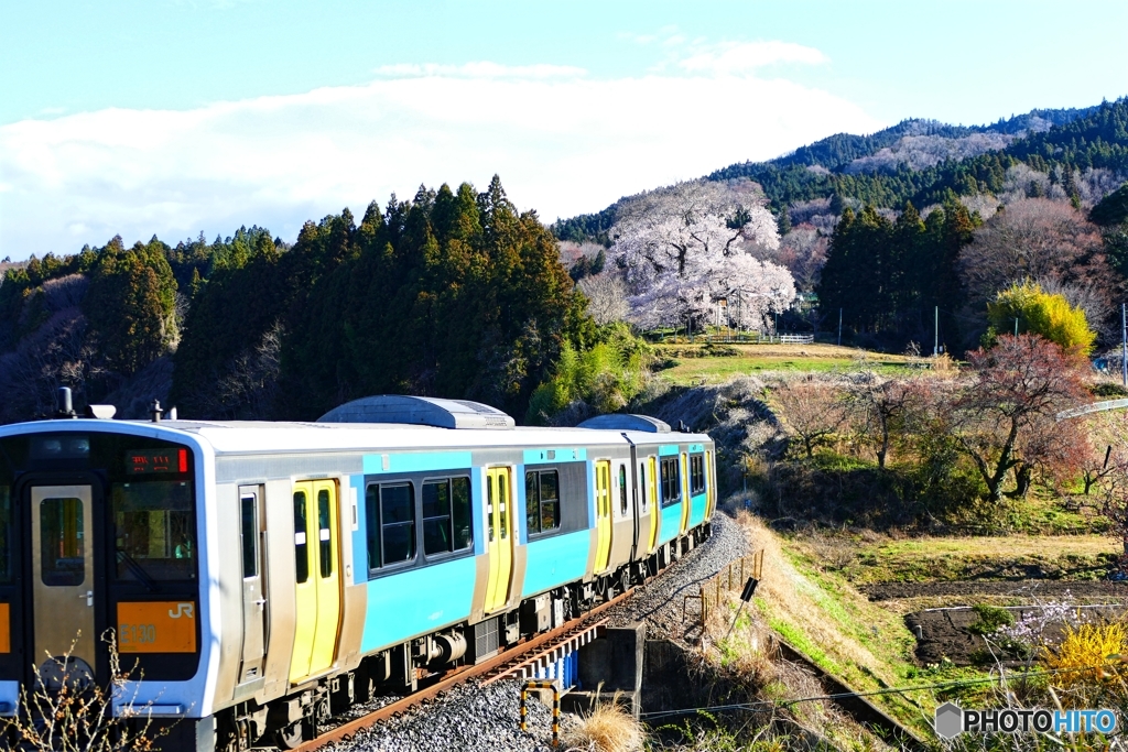戸津辺の桜と水郡線 ２
