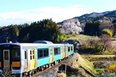 戸津辺の桜と水郡線 ２