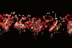 いわせ悠久祭りにて４