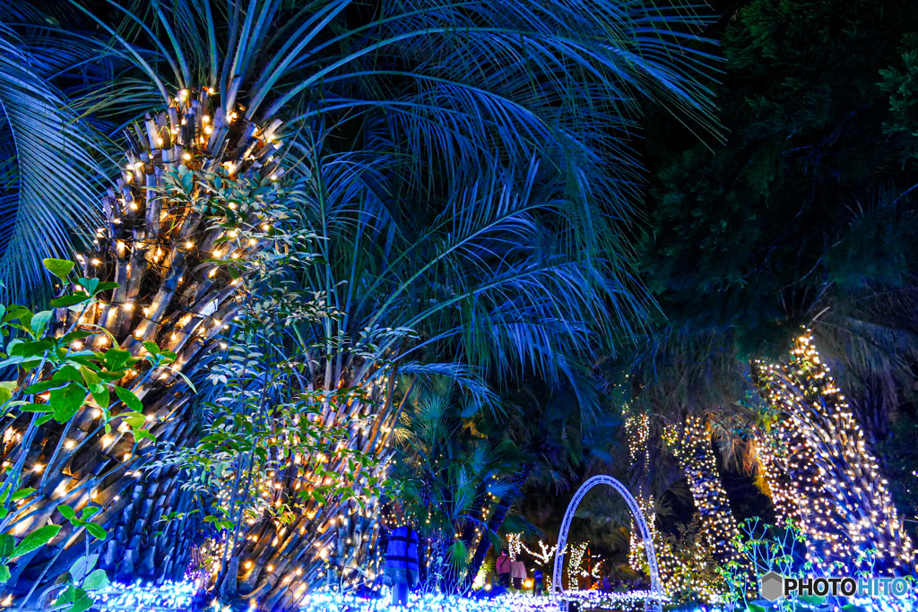 南国イルミネーション