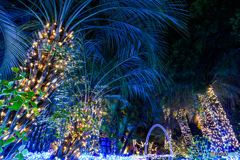 南国イルミネーション
