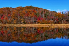 観音沼森林公園７