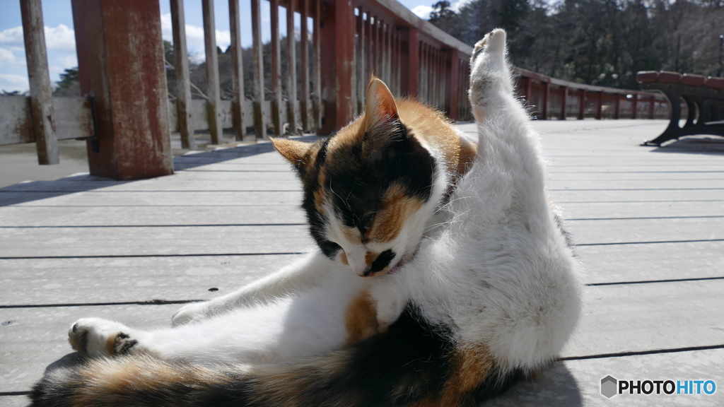 ちょっとだけよ～