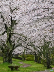 笹原川@郡山市三穂田