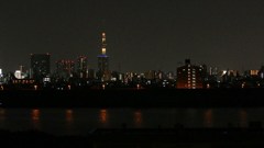P1160056　＠東京都