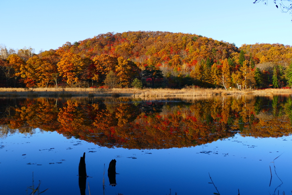 観音沼森林公園４