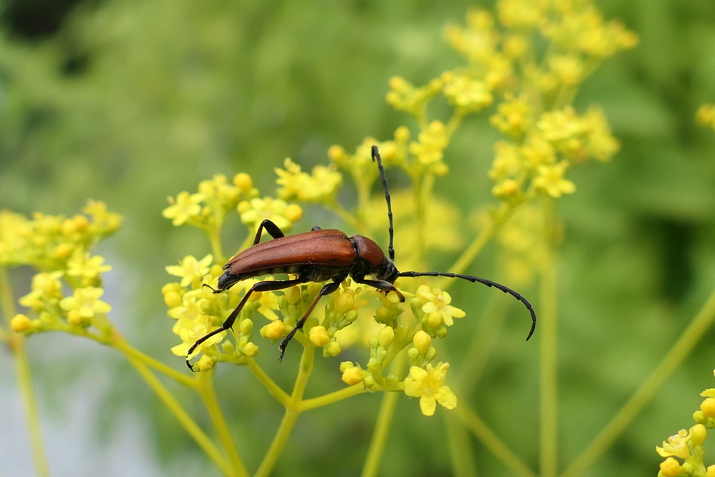 夏の終わりの気配