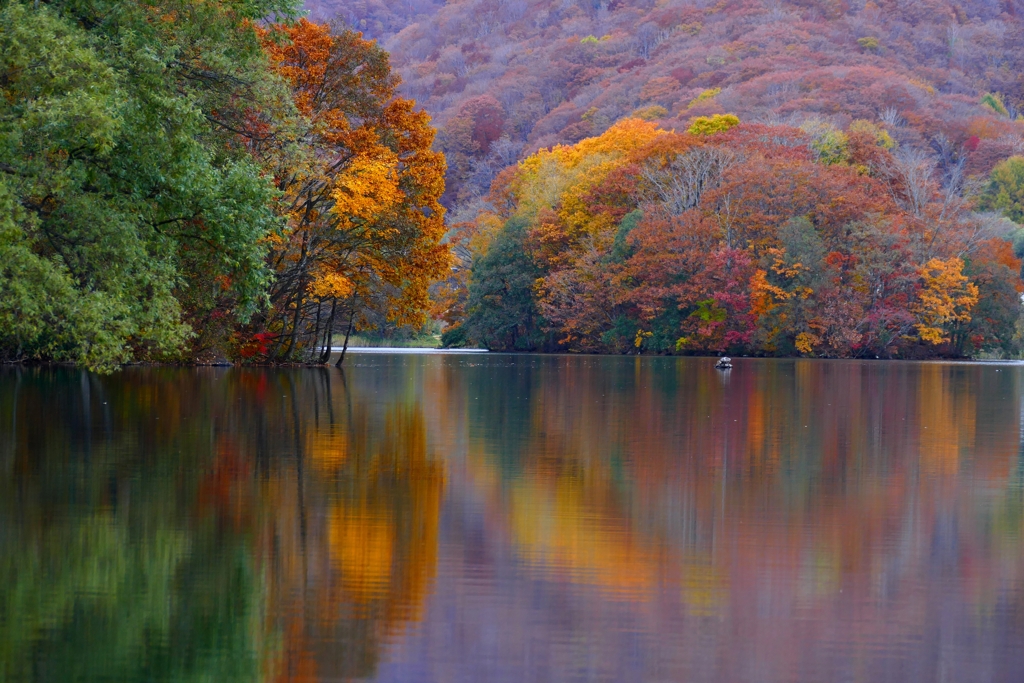 秋の曽原湖 １