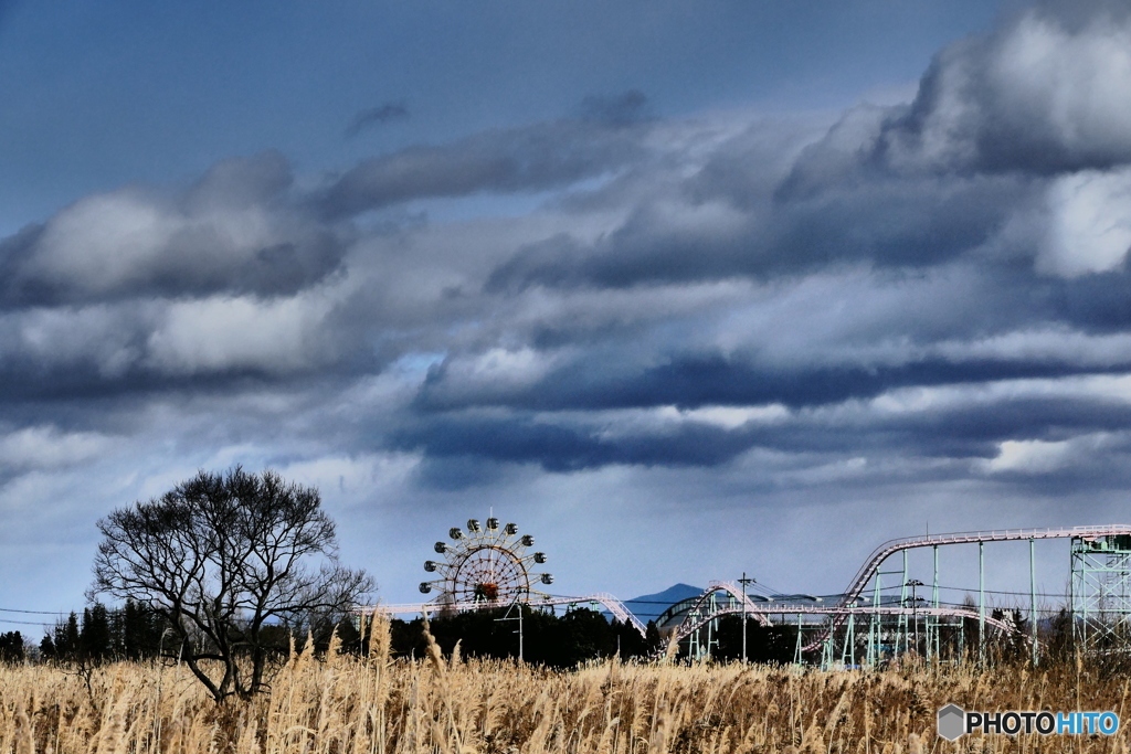 ある冬の日のスナップ３