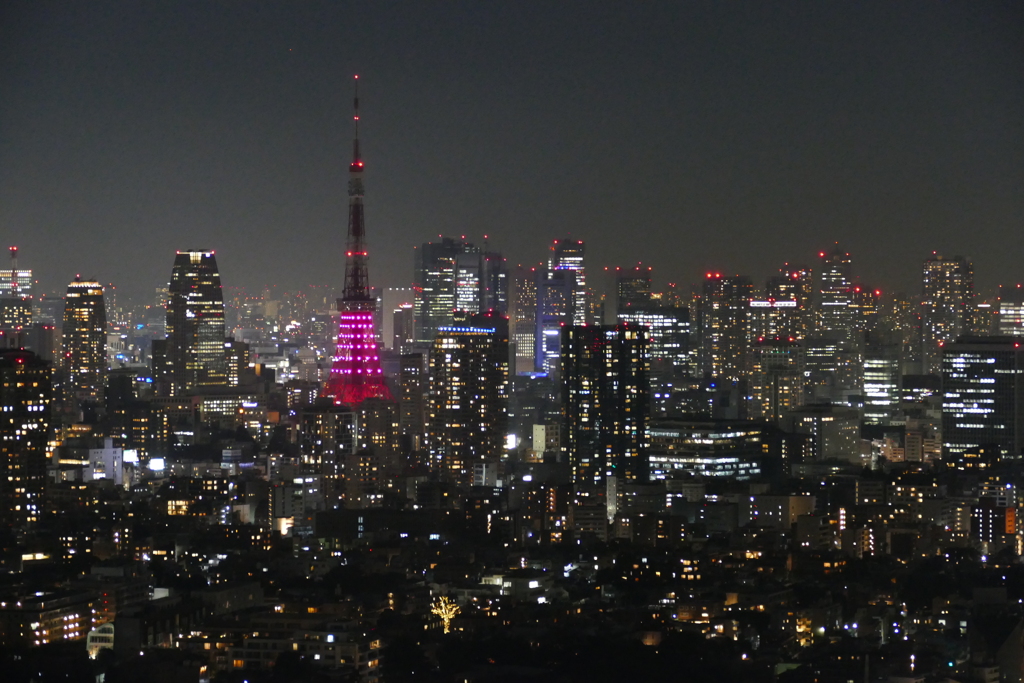 東京夜景