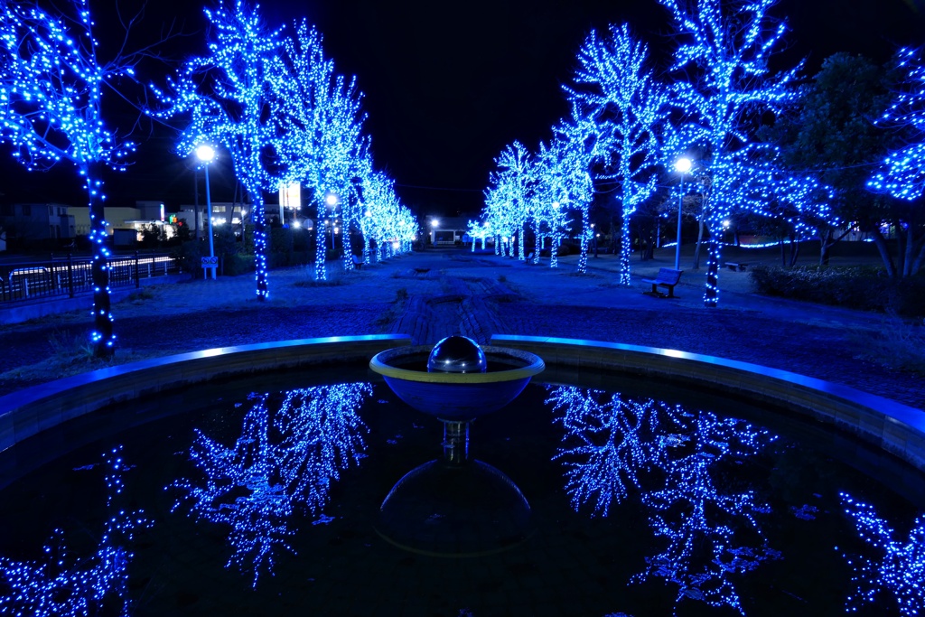 ブルーイルミネーション