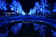 ブルーイルミネーション