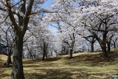 逢瀬公園２