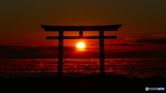 人の和 ＠大洗海岸